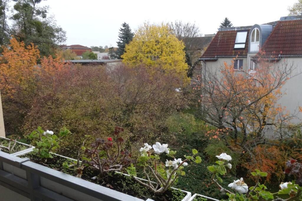 Schoene, Ruhige Wohnung In Berlin-Steglitz 외부 사진