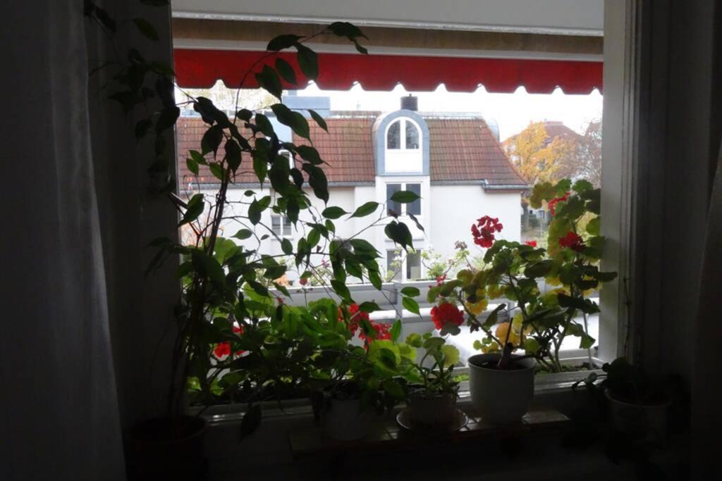 Schoene, Ruhige Wohnung In Berlin-Steglitz 외부 사진